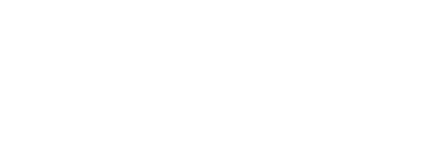 Fermion logo