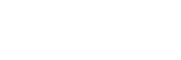 Raseborgs stad logo